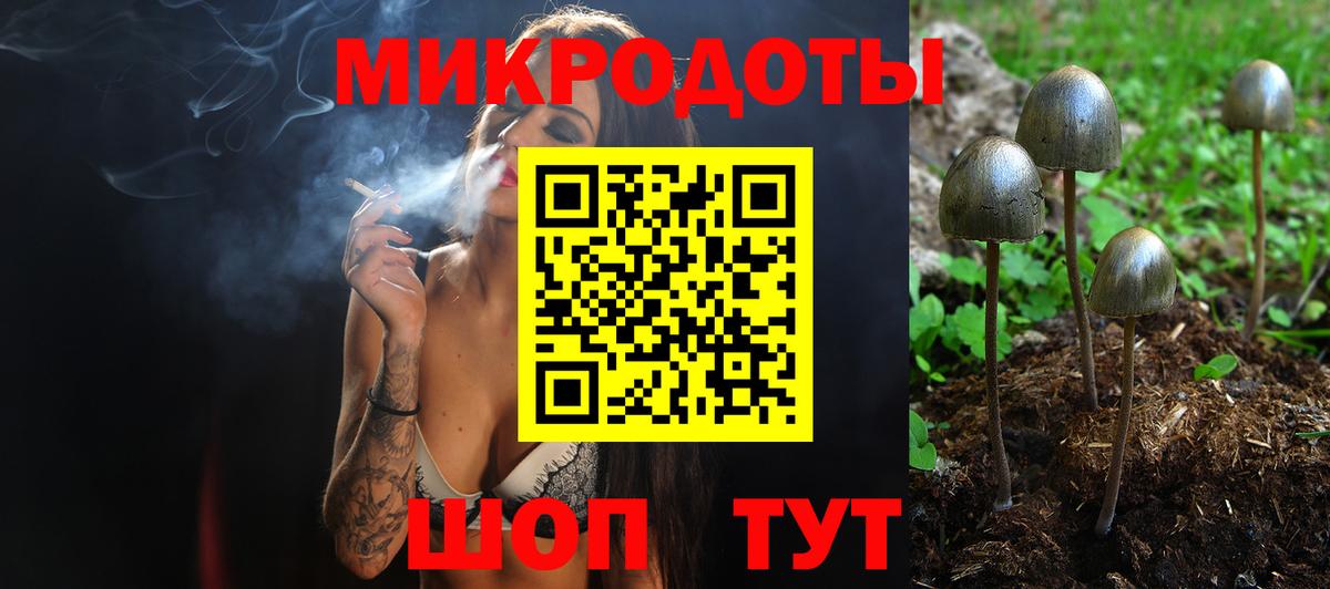 Шарыпово  Галлюциногенные грибы Psilocybine cubensis  Вход с VPN 